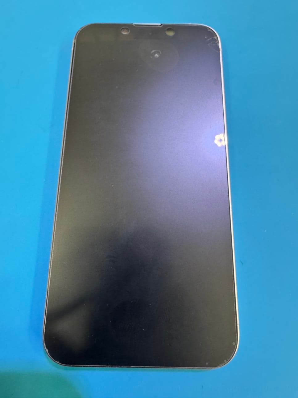 iPhone 13 mini 액정 교체 수리 사진