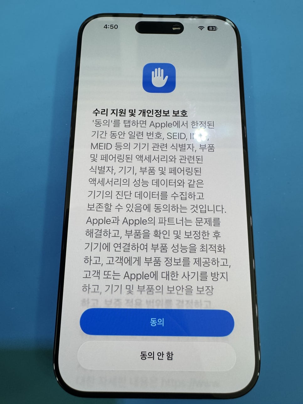 이미지 13