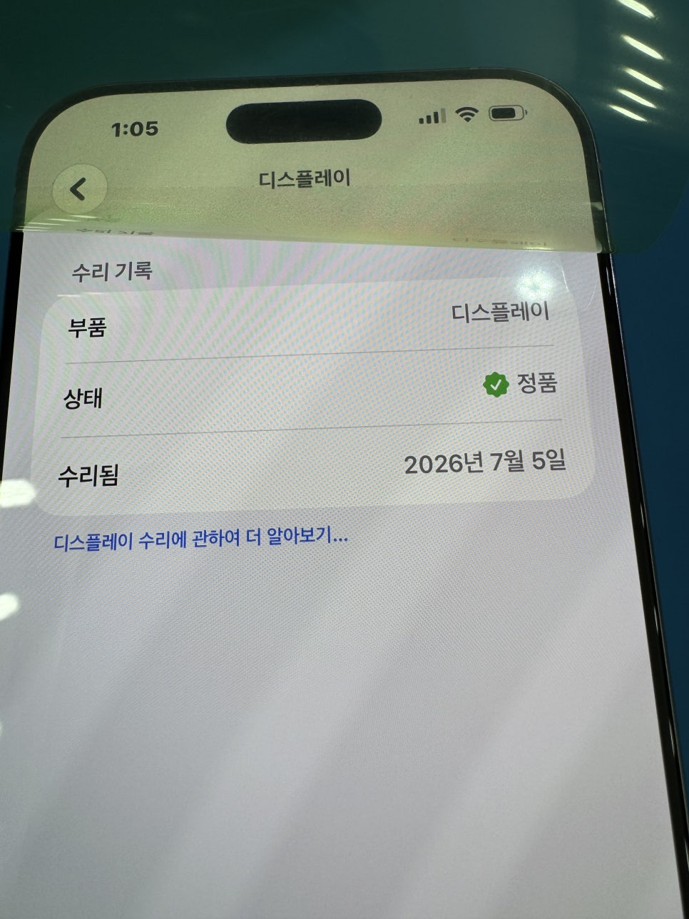 이미지 11