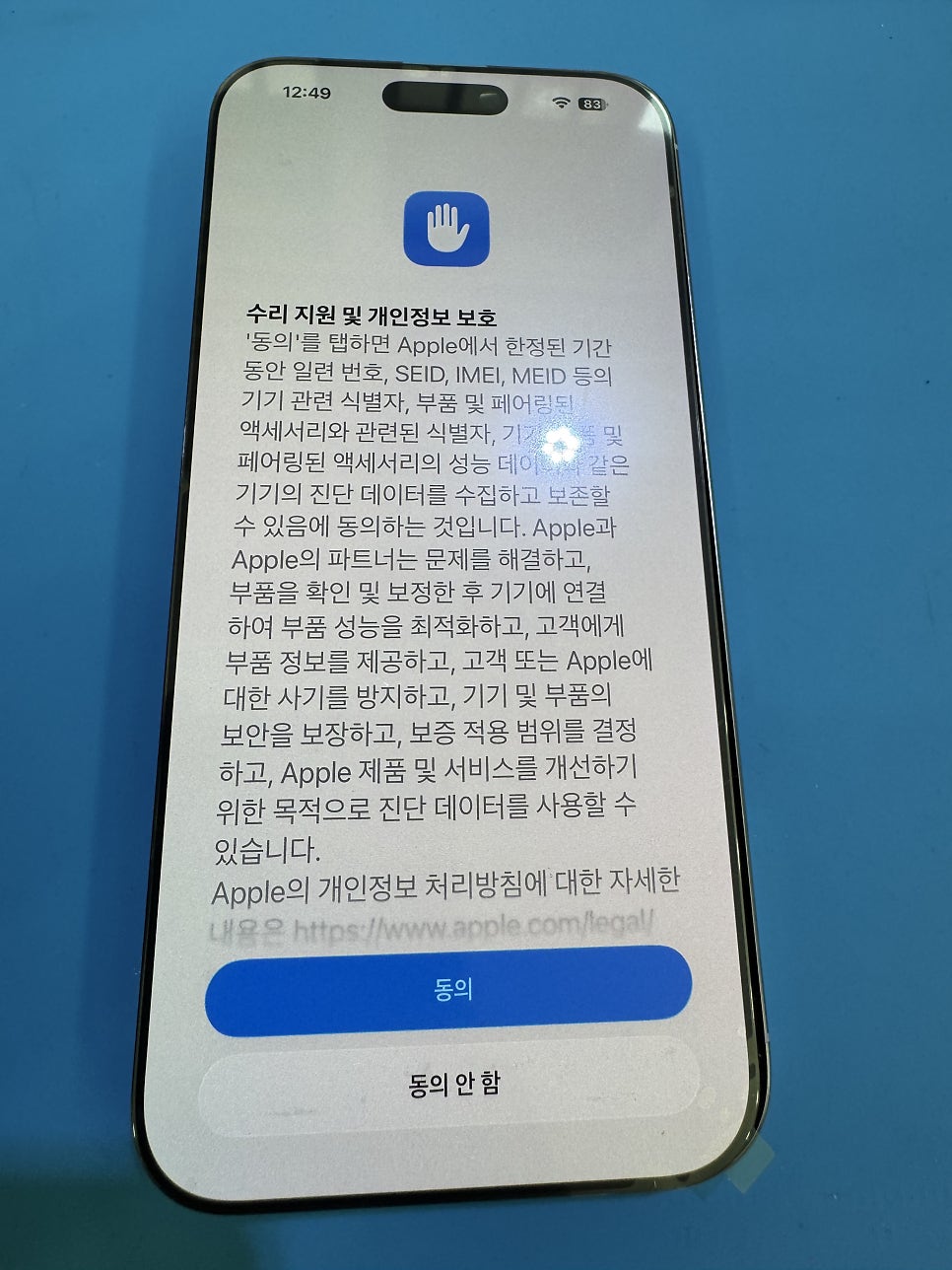 이미지 5
