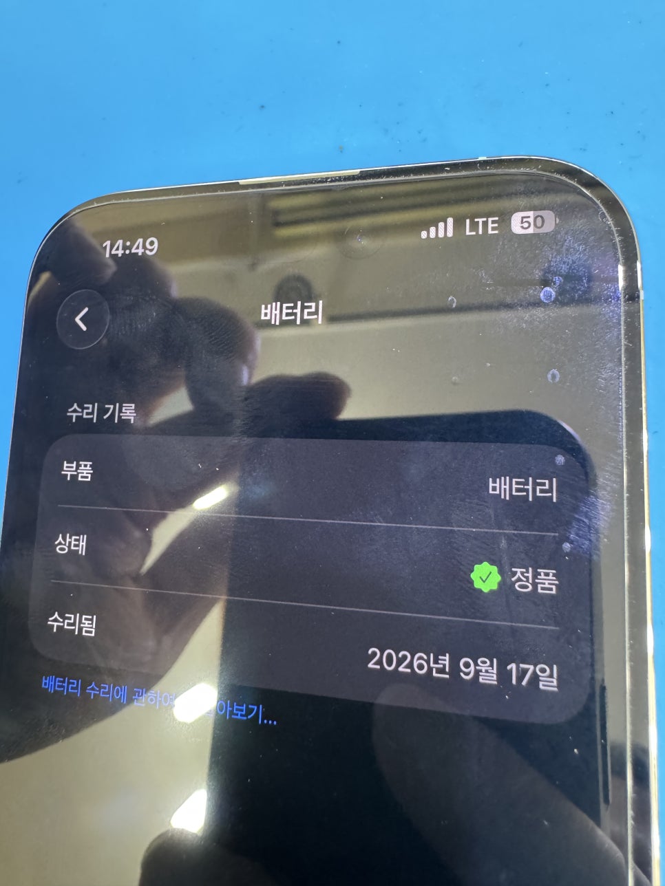 이미지 13