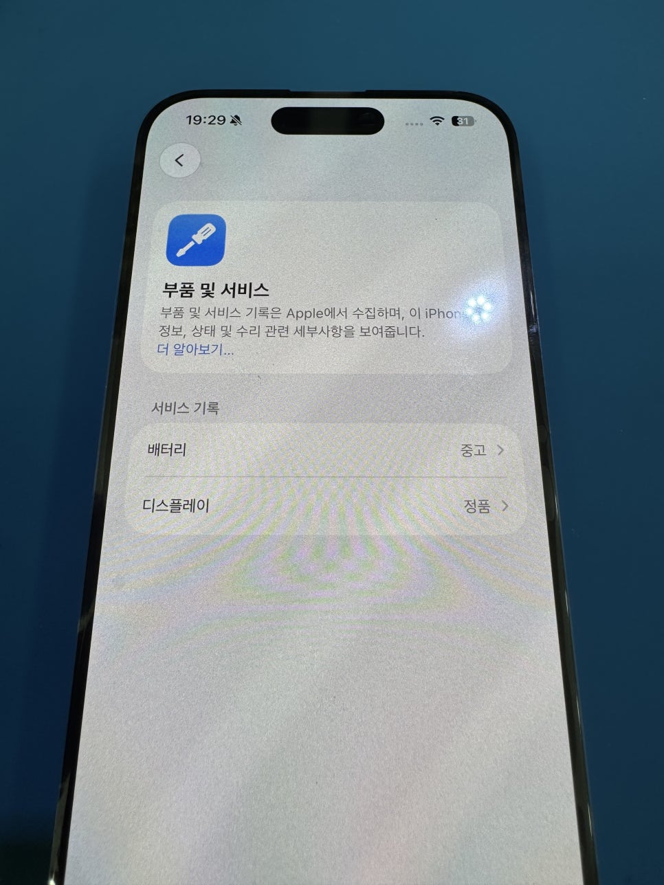 이미지 13
