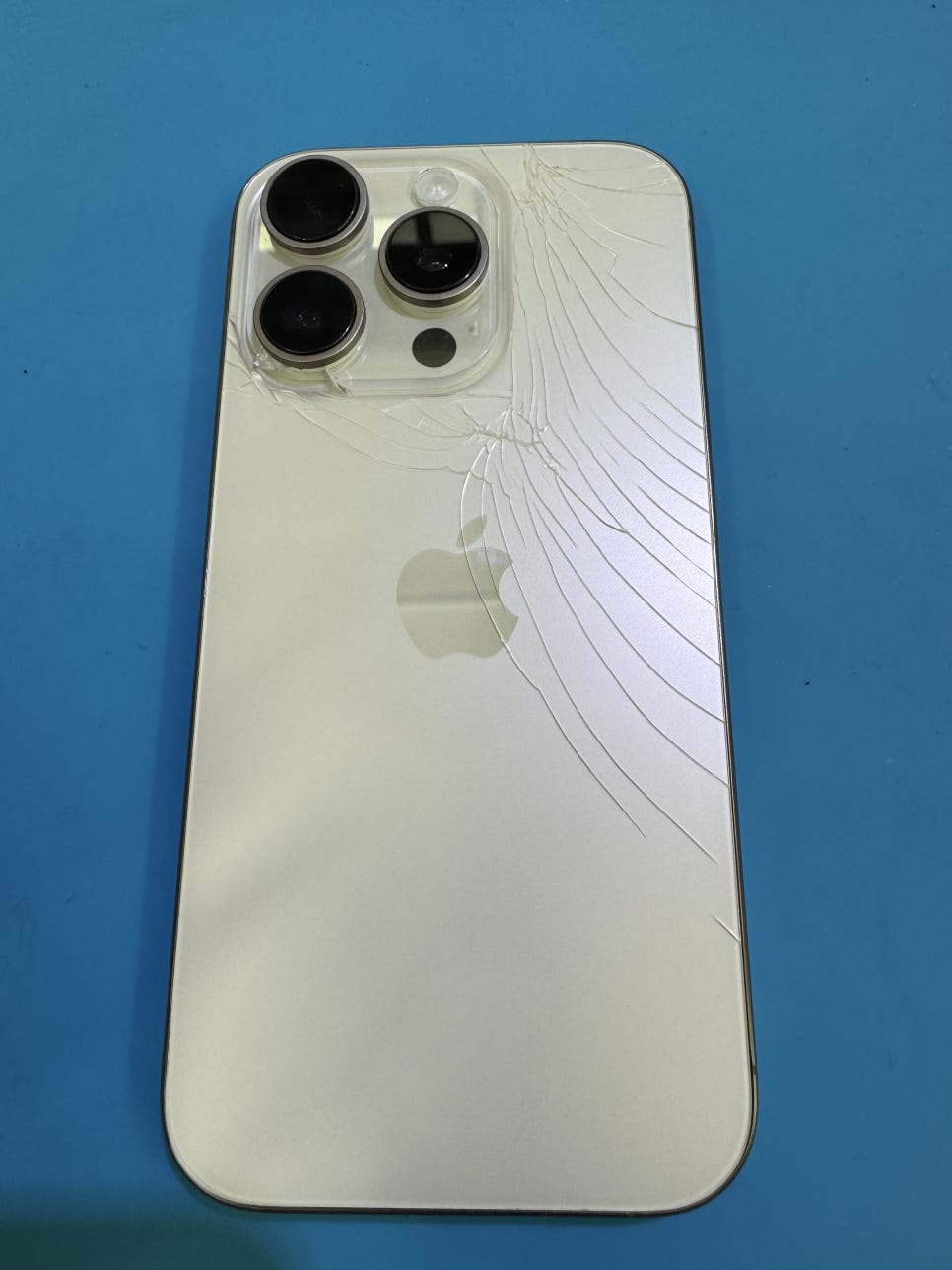 이미지 3