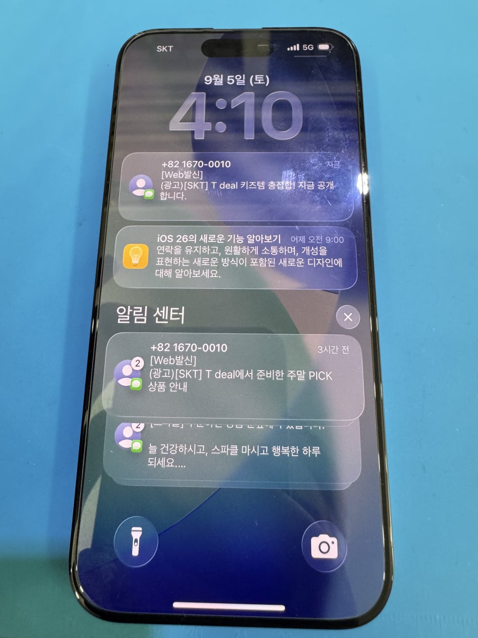이미지 12