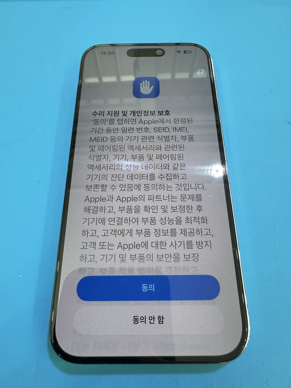 이미지 5