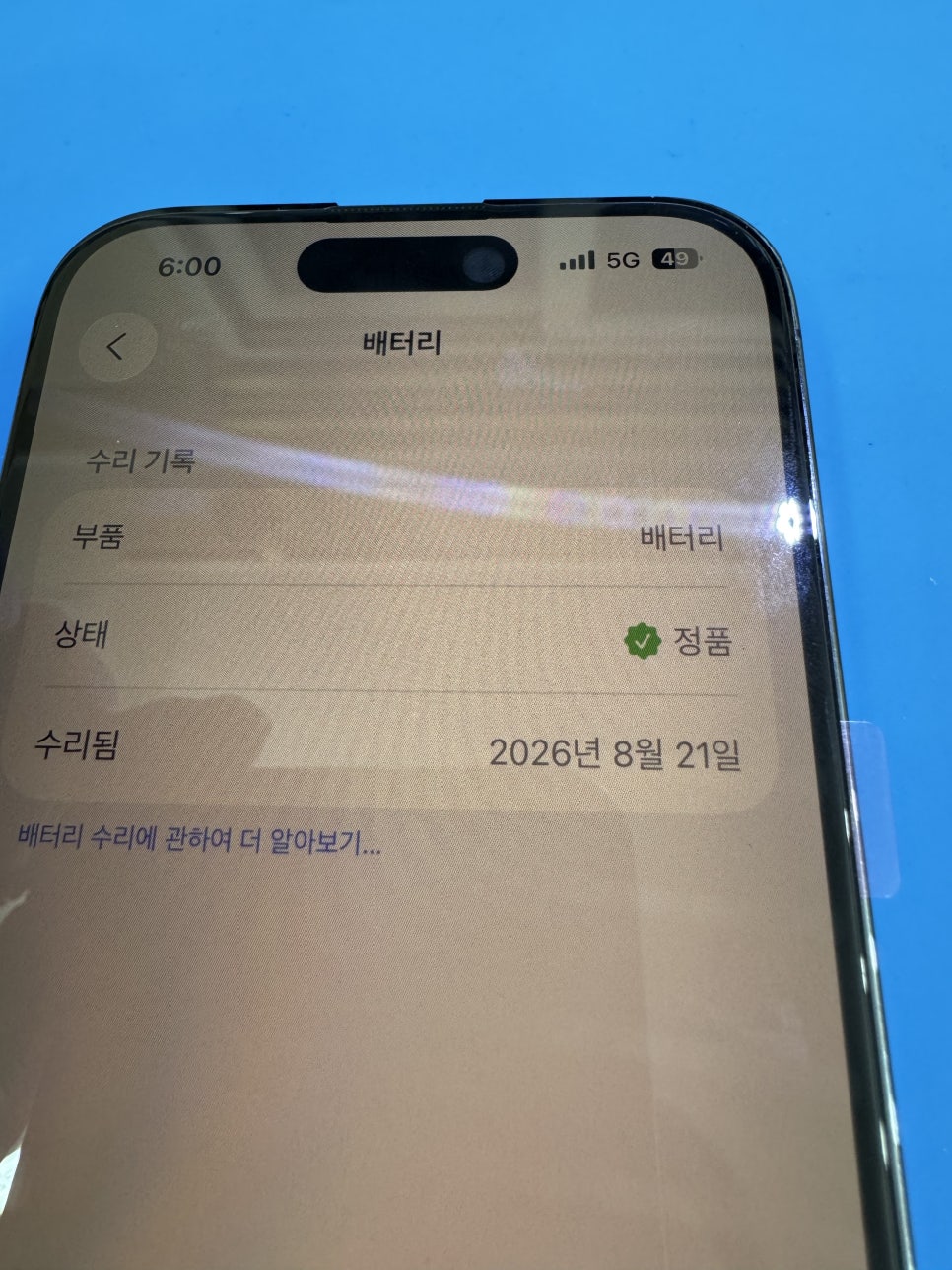 이미지 15