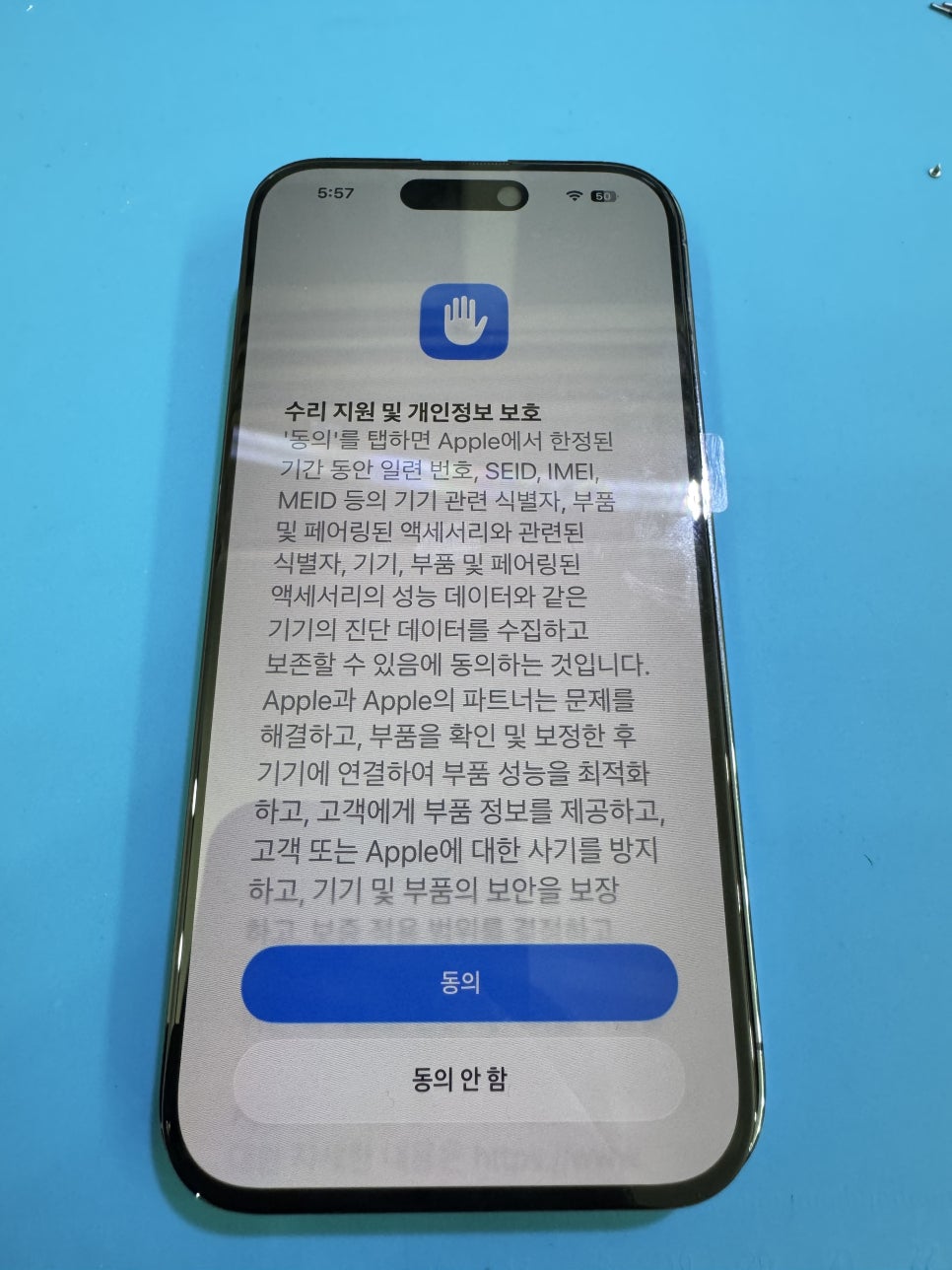 이미지 10