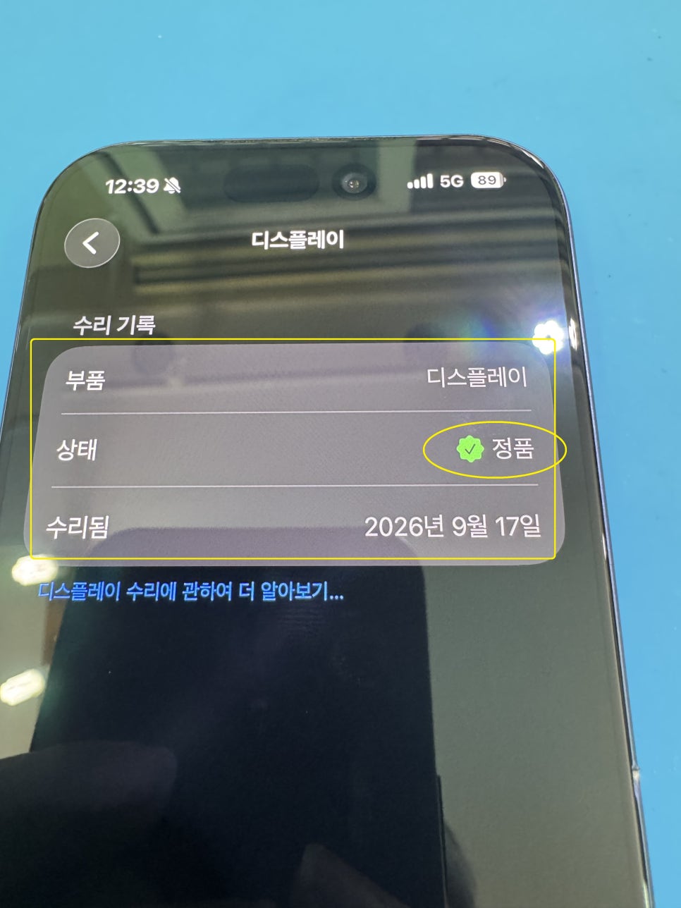 이미지 13