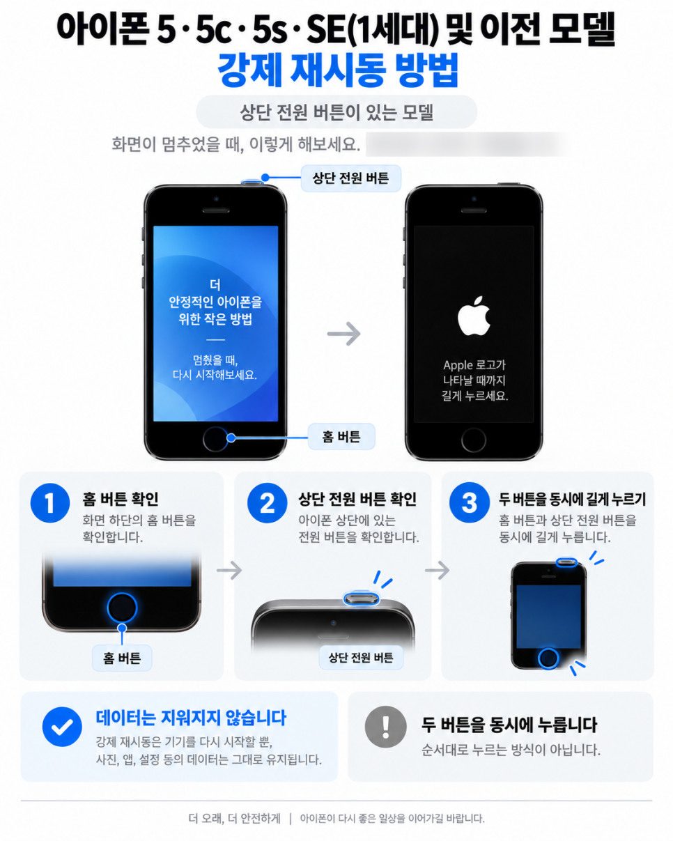 이미지 5