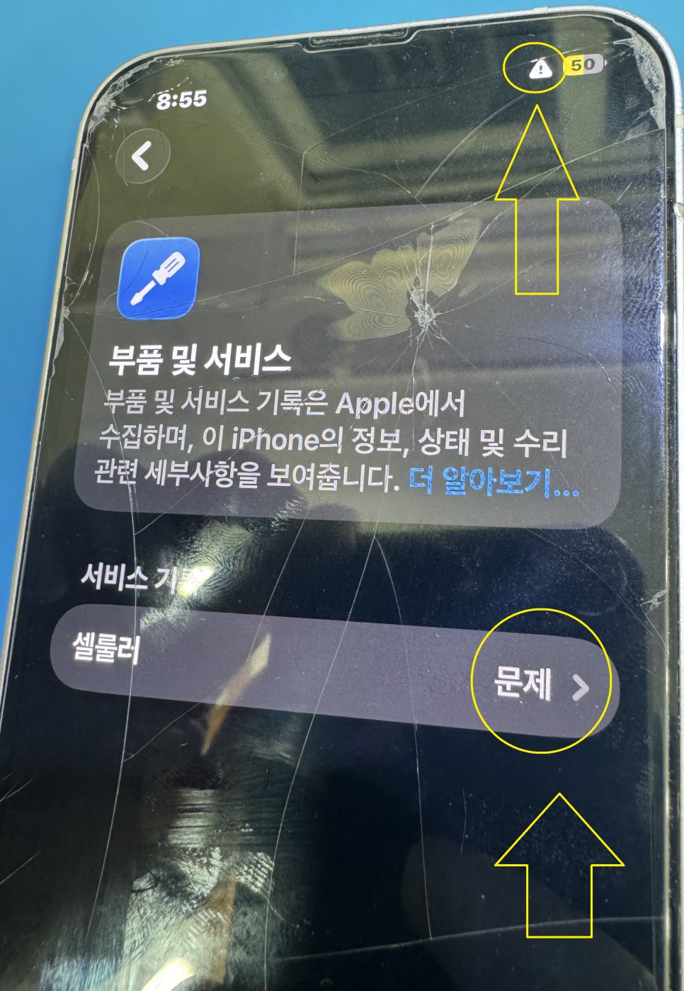 이미지 11