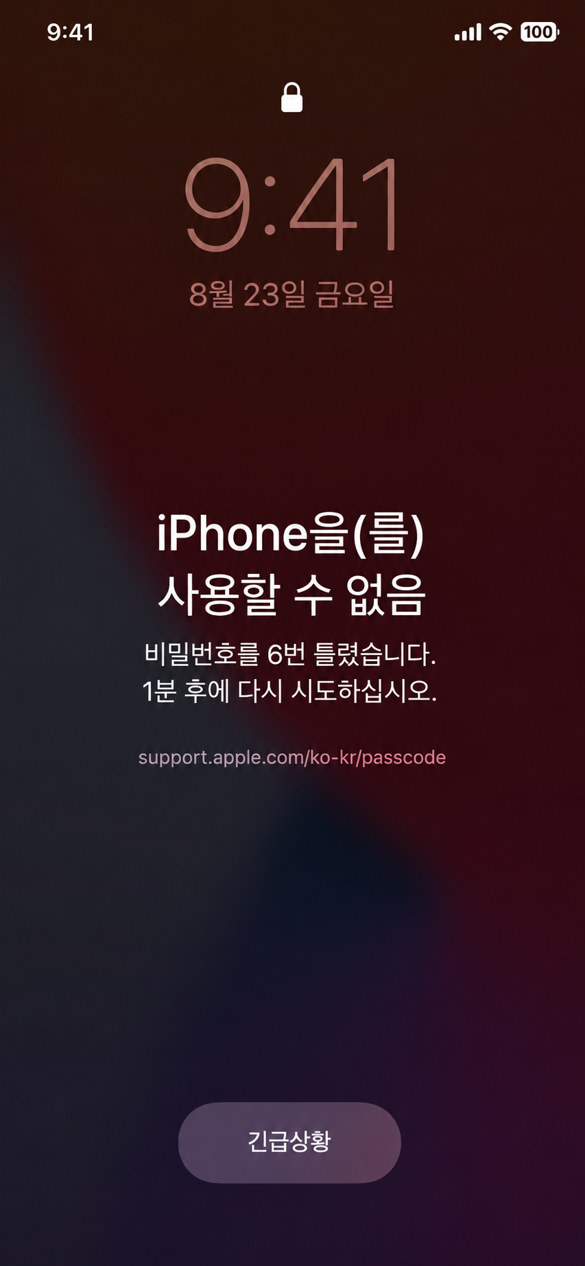 이미지 1